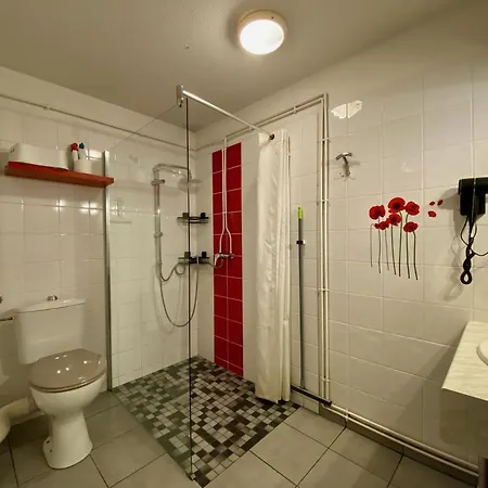 Апартаменты De Plein Pied Avec Piscine 2* *